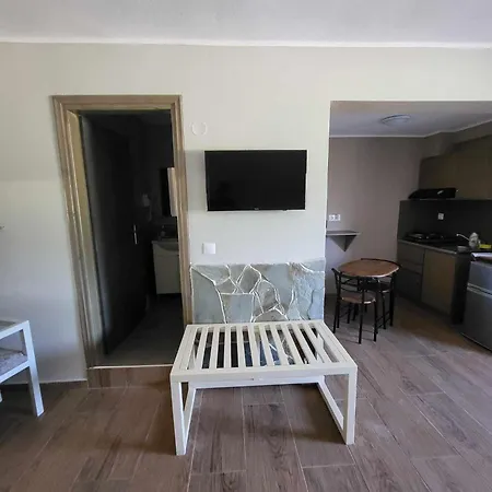 Dimitri يميناريا